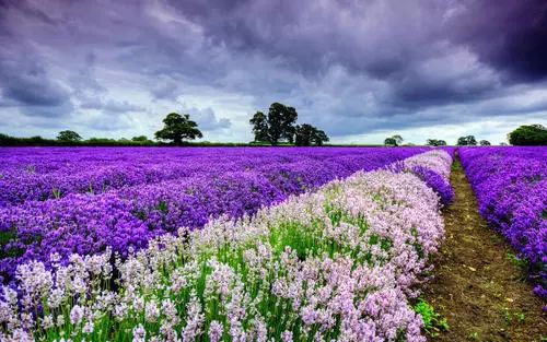 呵护手足|戴手套=精油SPA？还不耽误玩手机？30分钟急救手膜足膜，死皮老茧全消失，让你从头嫩到脚