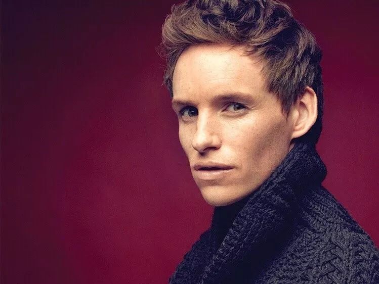 哈利波特奥斯卡颁奖,哈利波特奥斯卡入围