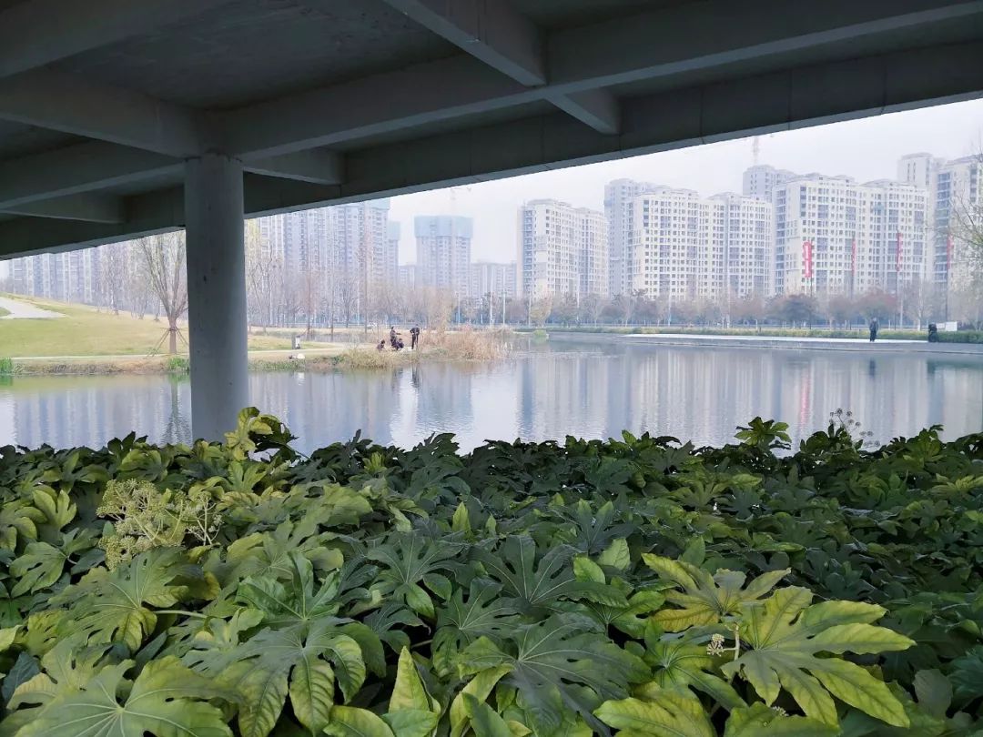 返乡置业热点城市,返乡置业最佳位置