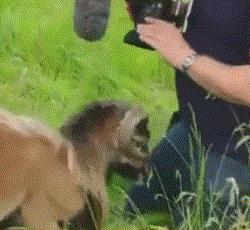 第一次结婚累不累,第一次结婚心里好激动