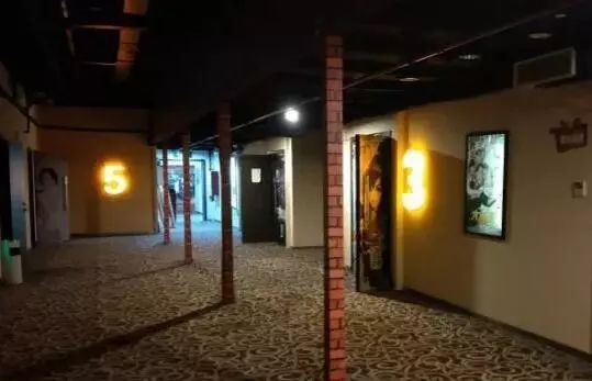 所有人的记忆都停留在了2019年,所有人你的2019年度总结请查收