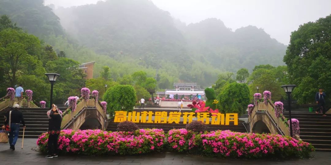 三清山旅游攻略自驾2020,2021年三清山