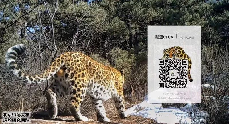 别去挤景点了！生态旅游了解一下