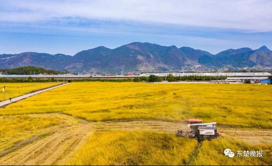 365天，行走3.2万千米，拍摄13万张照片！黄石人到底有多“野”？