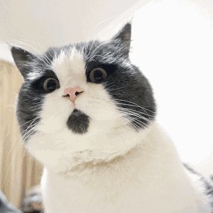 千年一遇的2020年2月2日是周末！想领证？淄博民政部门回应