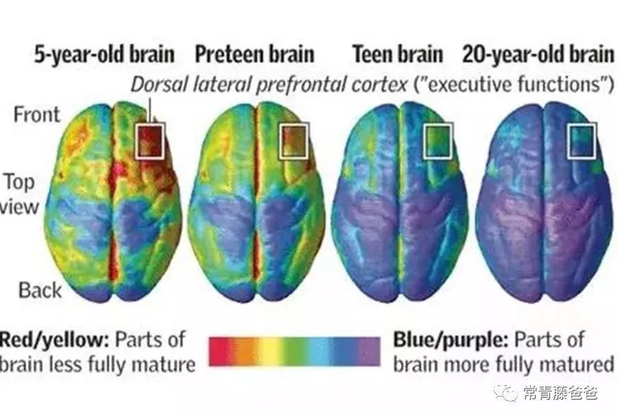 父母毁了亲子关系,父母毁掉亲子关系