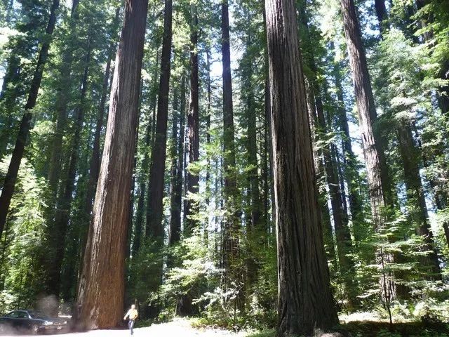 旅游必看的十部电影,旅游电影十大巅峰之作