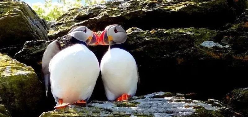 旅游必看的十部电影,旅游电影十大巅峰之作