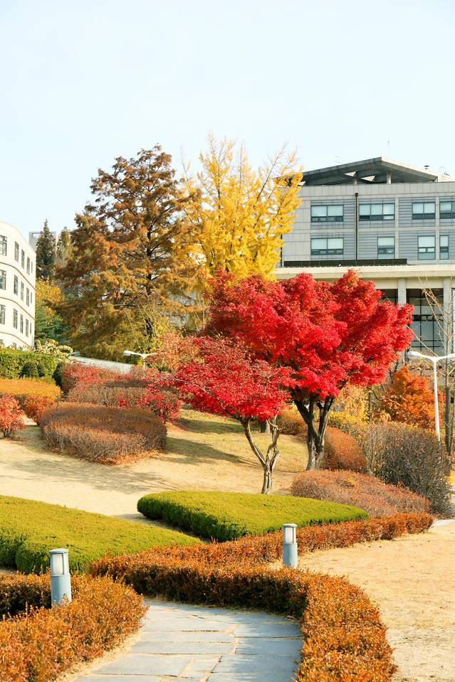 去韩国购物不超过多少钱,去韩国不美容不购物去哪里