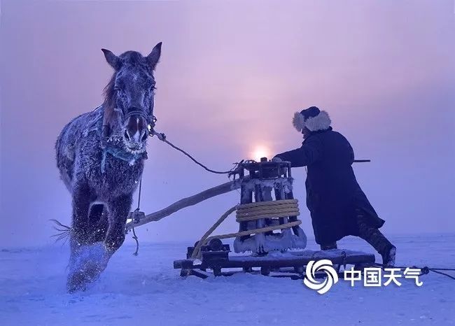 数九严寒最冷三九,三九最冷有多少度