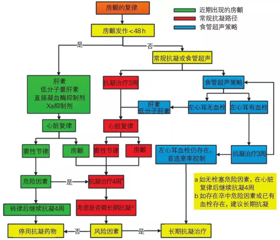 房颤用什么抗心律失常药,2018年中国房颤诊疗指南原文