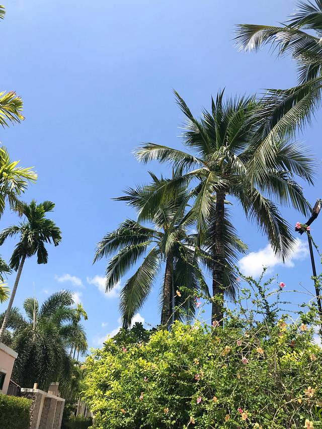 乐此不疲日常版,普吉岛五天四晚自由行