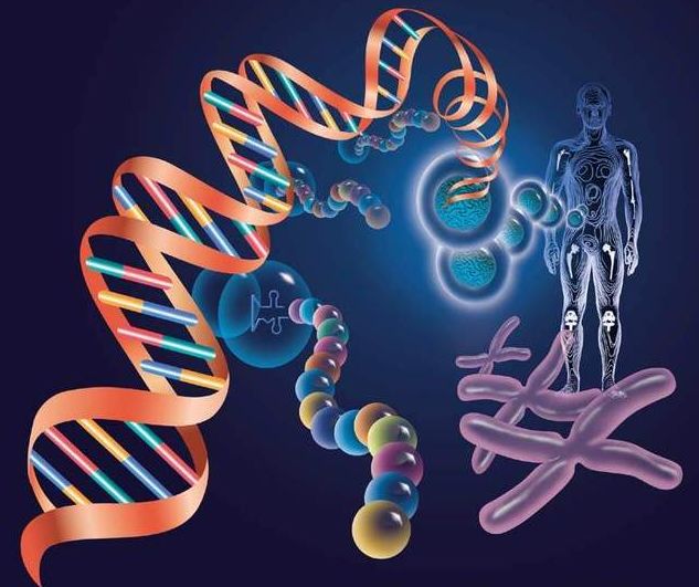 肺癌专家周彩存哪里人,周彩存谈肺癌治愈率最新