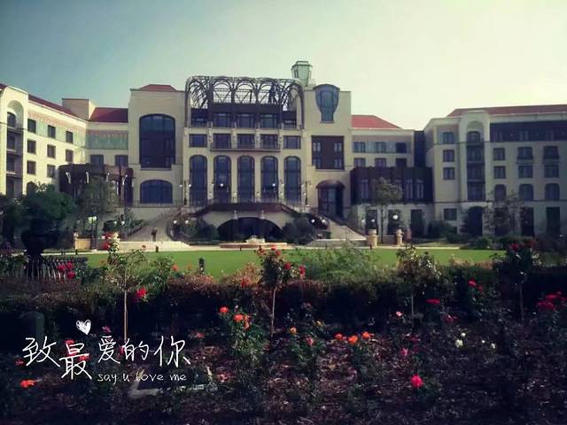 上海朱家角古镇美食攻略,上海朱家角迪士尼