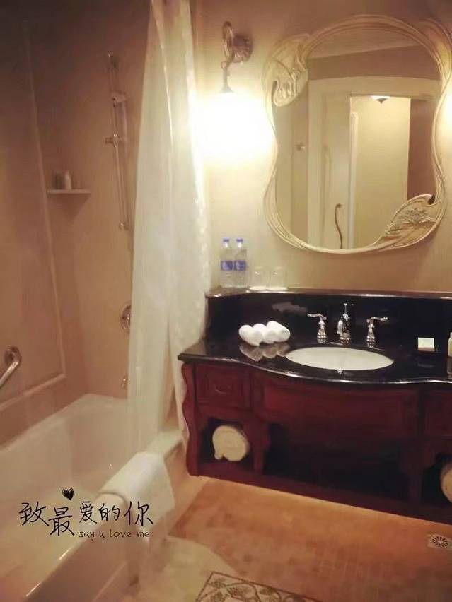 蜜月旅行迪士尼,外滩迪士尼亲子游两天攻略