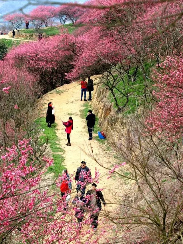 奉化旅游散客游线路,奉化的旅游线路推荐