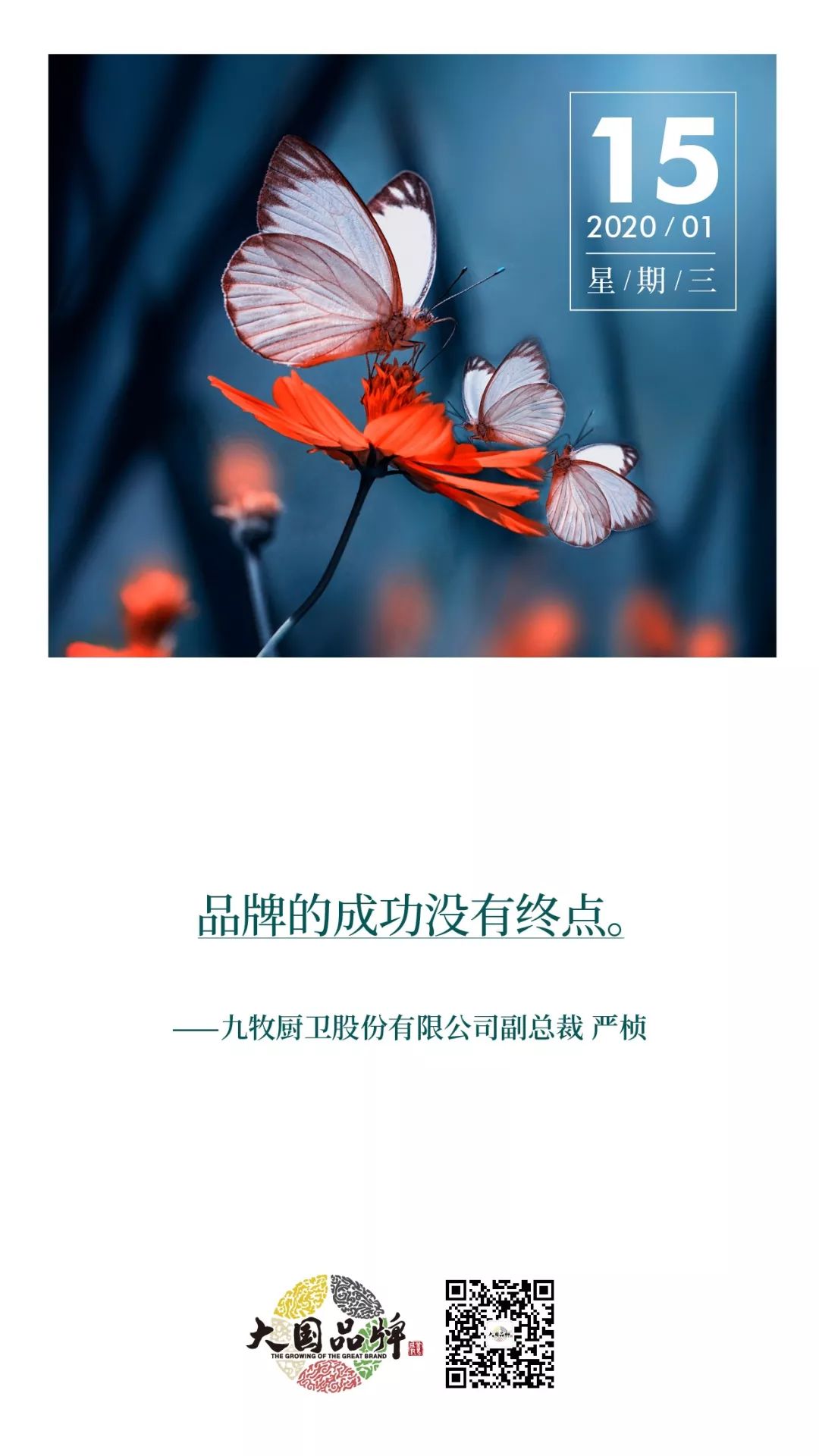 卓越品质铸就不凡,卓越品质成就百年双菱