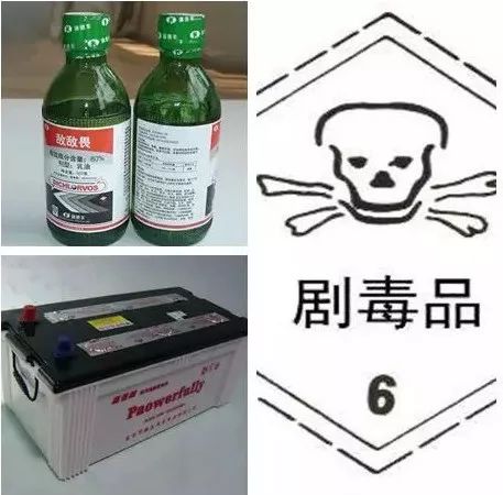 大学生带仓鼠回家坐火车,大学生带仓鼠上火车