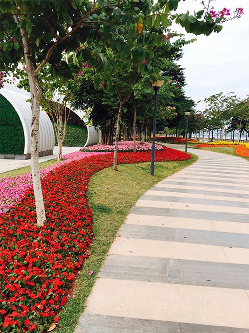 广州海珠区免费公园推荐,海珠区最近的公园