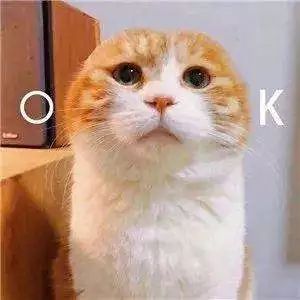 从被质疑没存在感到女团单飞，如今靠最火台剧再次爆红？