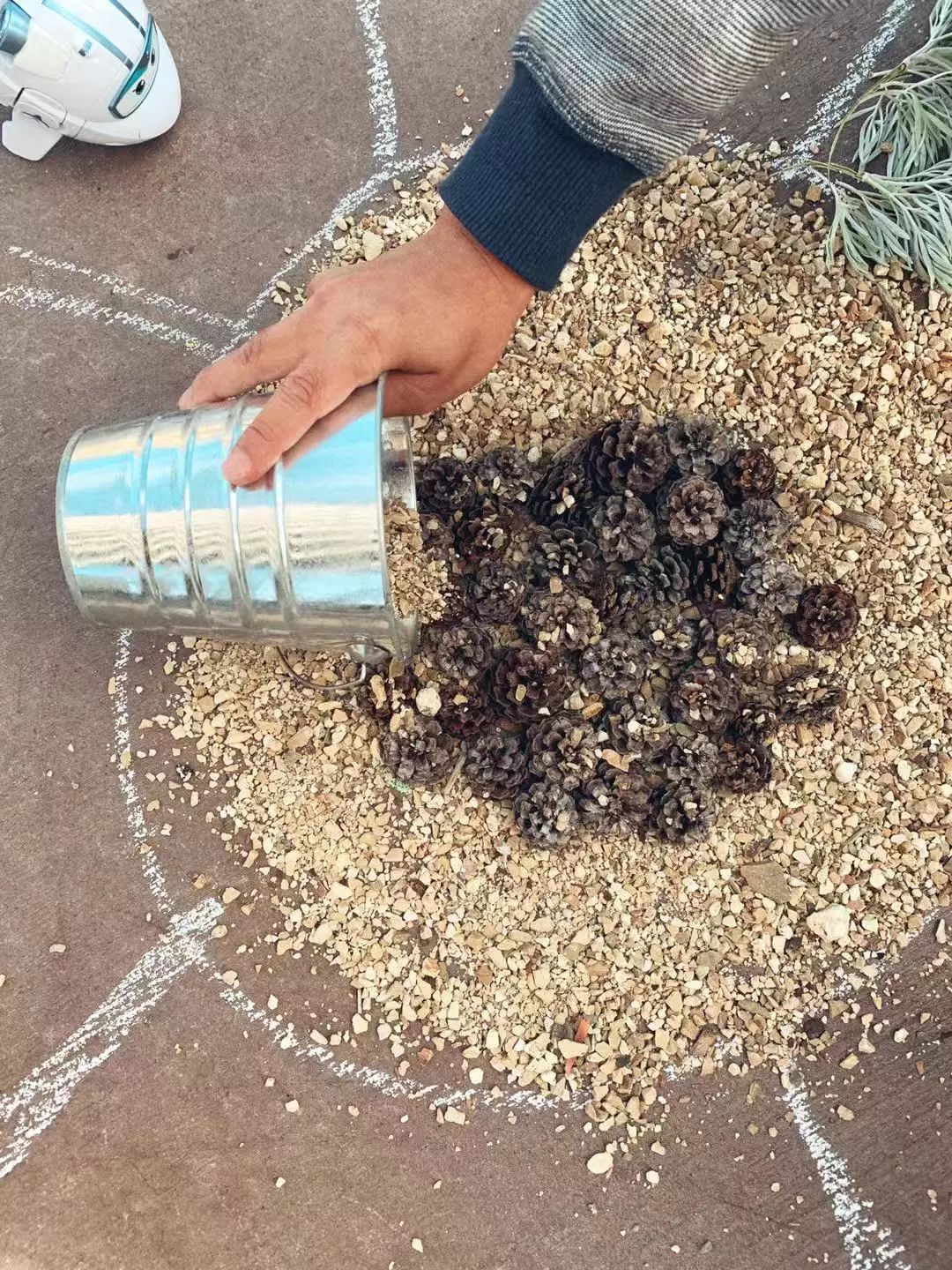 没有作业的澳洲暑假怎么熬？