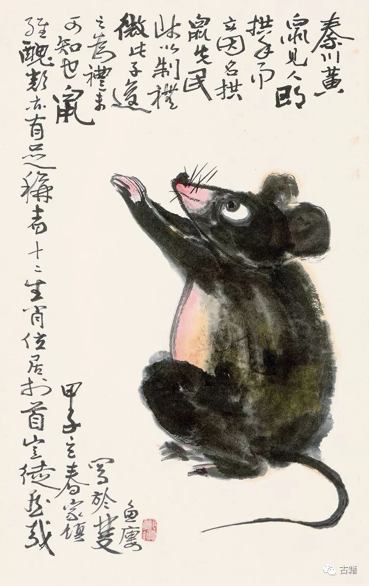 鼠年春晚说鼠,央视科普鼠年说鼠