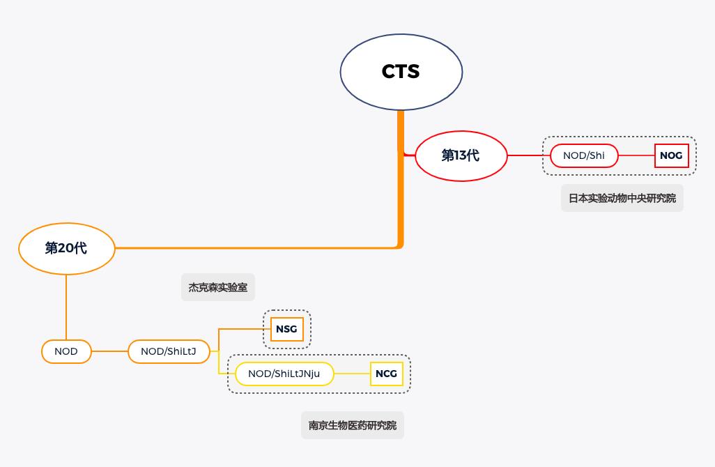这个鼠年太难过了！再难，也不能没有鼠