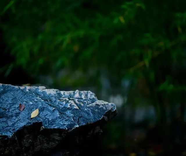 教科书式自我隔离,自我隔离要多少天