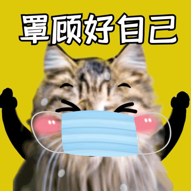 感动!全球100位网友共同发声!To武汉的心愿你听到了吗