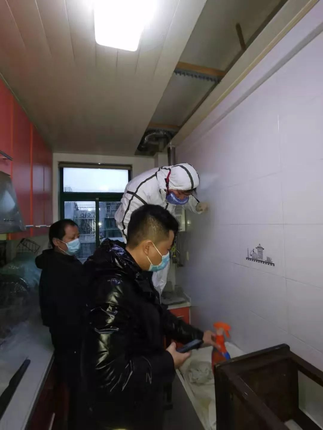 在楼道里遇见蝙蝠该怎么办,家里有蝙蝠进来有没有事