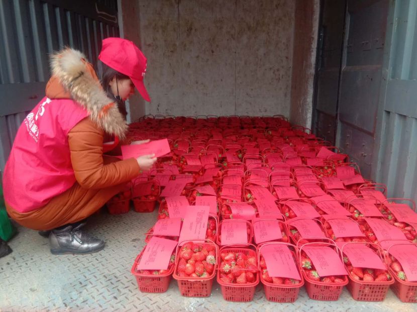 元宵节送温暖防疫一线的文章,疫情当前农村元宵节送灯