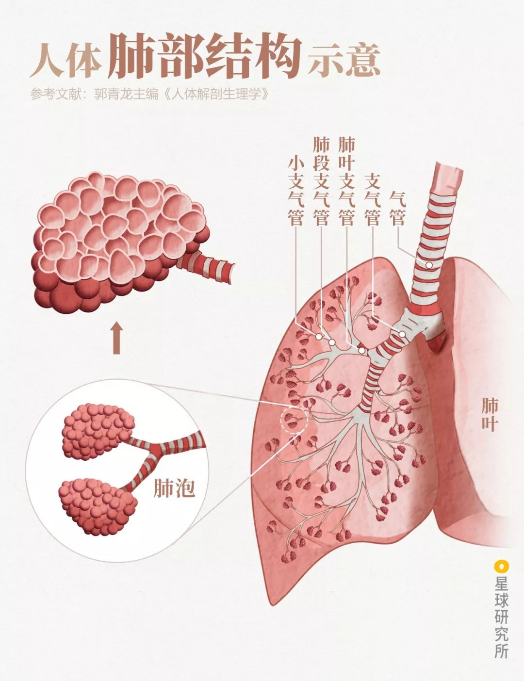 鍋囧鐥呮瘨鎰熸煋浜嗕綘,鍋囧鐥呮瘨鎰熸煋浜嗘垜