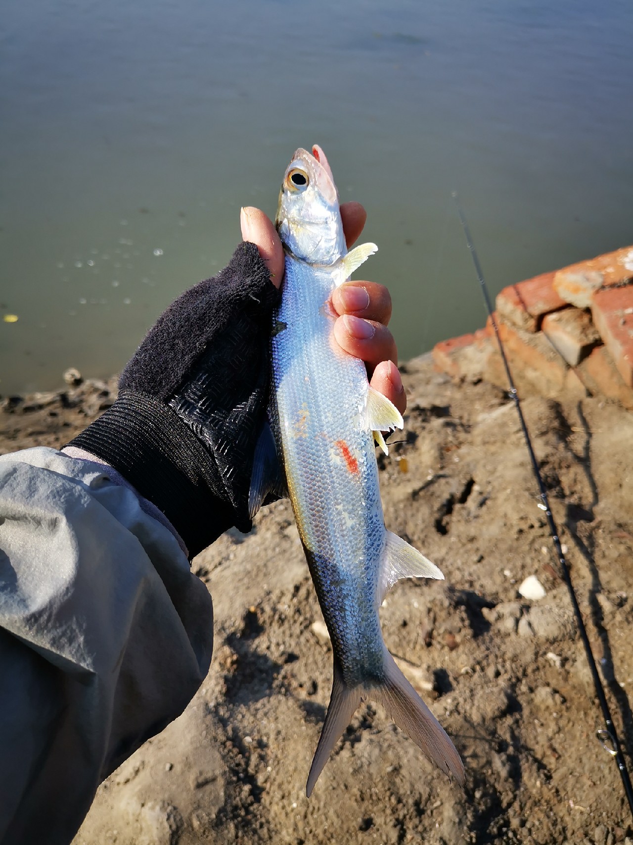 路亚一步到位还是循序渐进好,摸索反思