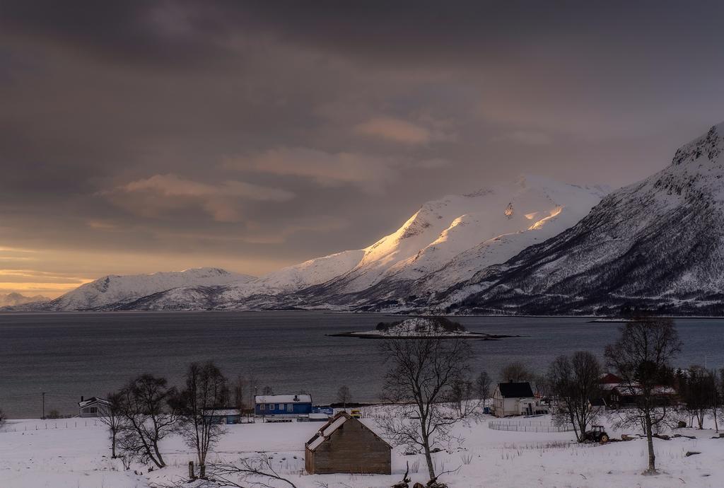 罗弗敦群岛一日游攻略,罗弗敦群岛旅行
