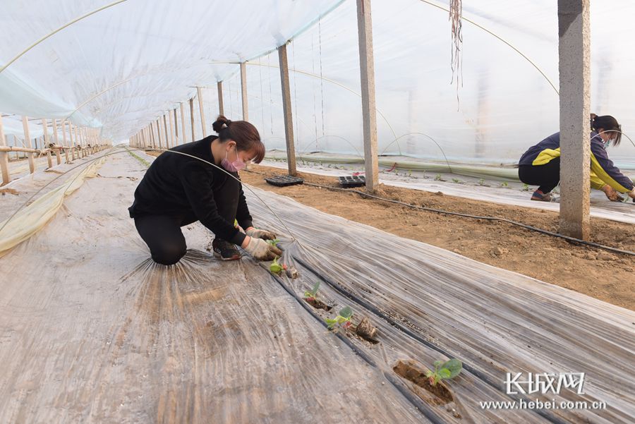 雨雪冰冻灾害应急方案,应对低温雨雪冰冻灾害主要措施