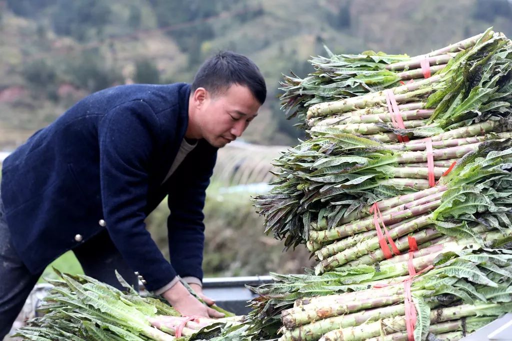 遇到诈骗电话是挂掉还是放任不管,接到诈骗电话就敲锅