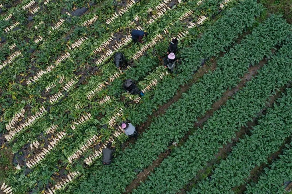 遇到诈骗电话是挂掉还是放任不管,接到诈骗电话就敲锅