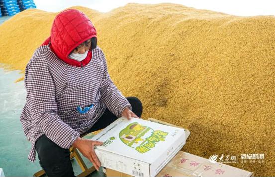 1元微力量捐款到武汉丨30枚爱心鲜鸡蛋26.8元，顺丰包邮到家