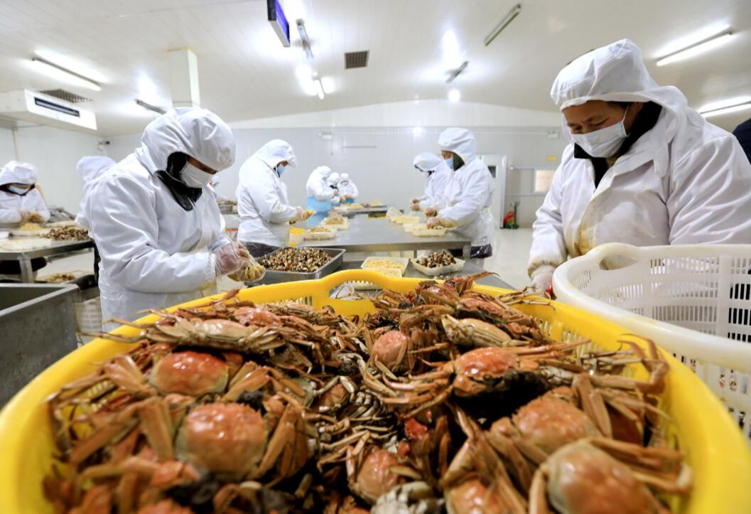 “内购”+外销！螃蟹不愁卖，他们有绝招