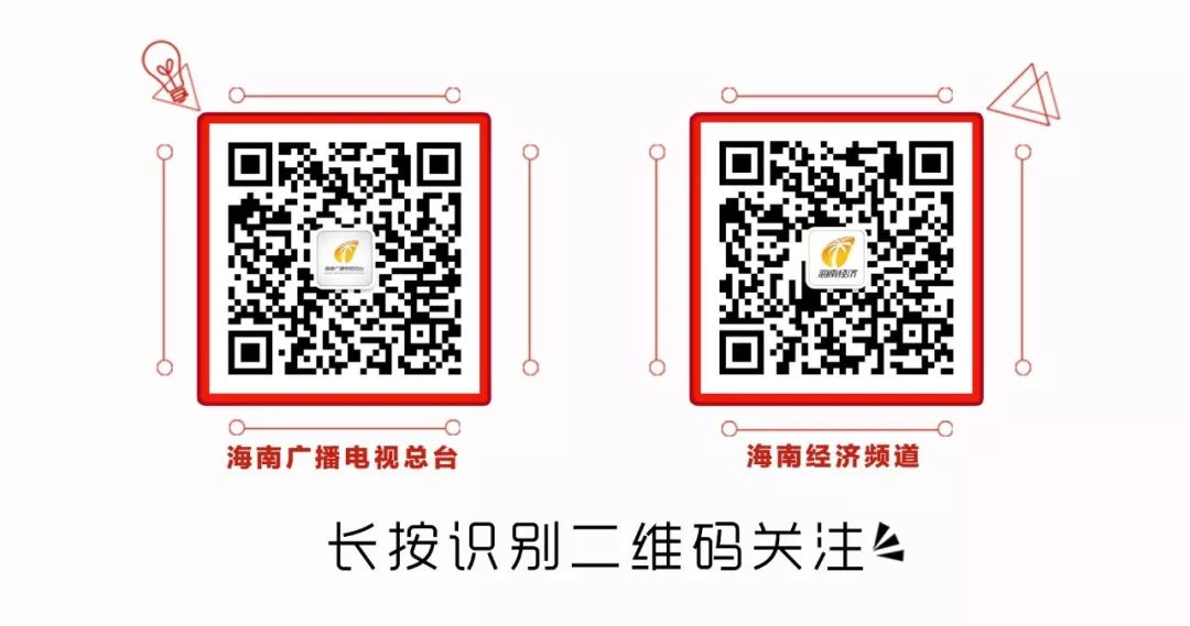 @海南人，看到这种黑色小虫躲远点…
