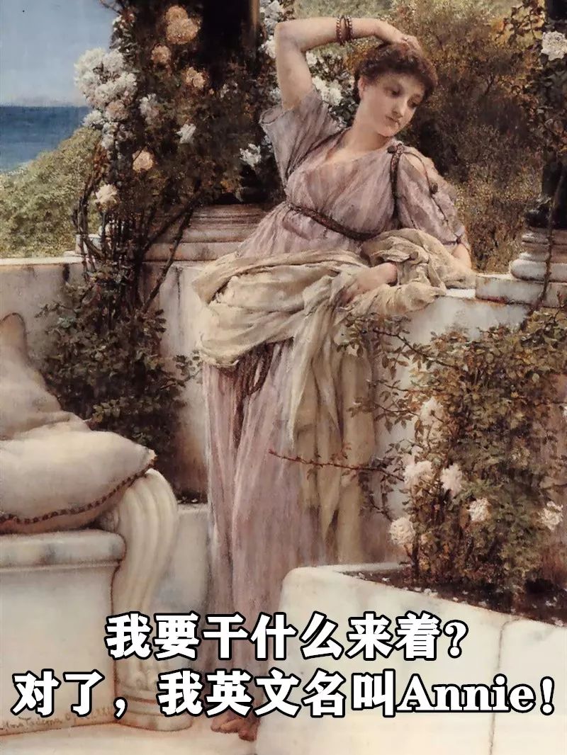 万事屋语音厅,万事屋图鉴