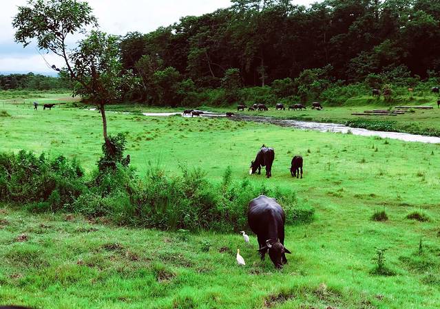 尼泊尔众神,尼泊尔众神之境地图
