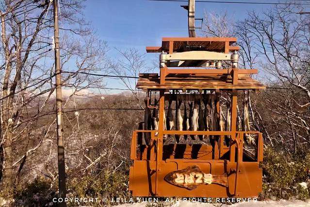 日本购买新冠口罩,去日本买口罩的便宜吗