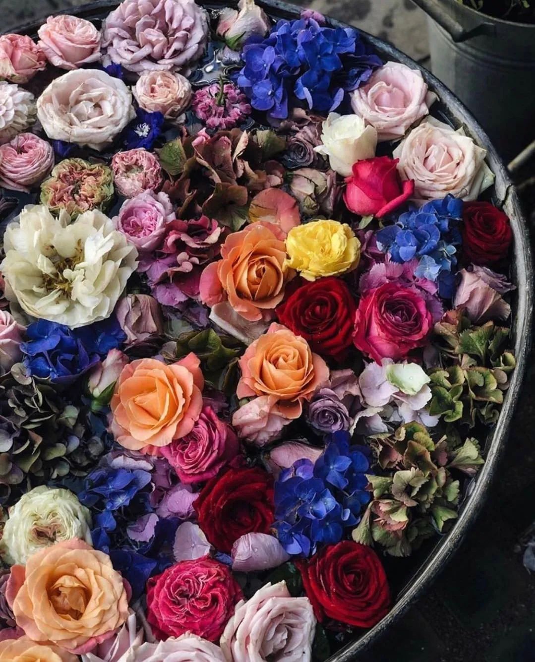 伦敦花店排名,伦敦一些有气质的花店推荐