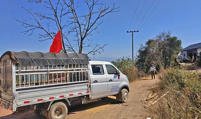 党旗飘扬在疫情防控一线图片,党旗在防疫一线飘