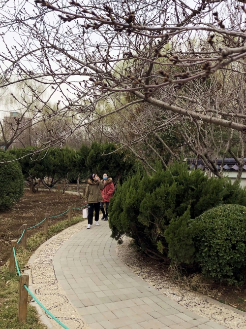 济南疫情期间公园对外开放,济南湿地公园疫情开放了吗