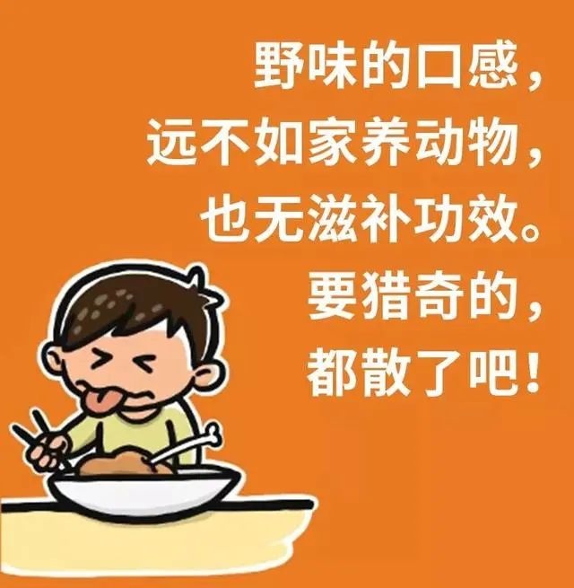 到底什么算是“野味”？