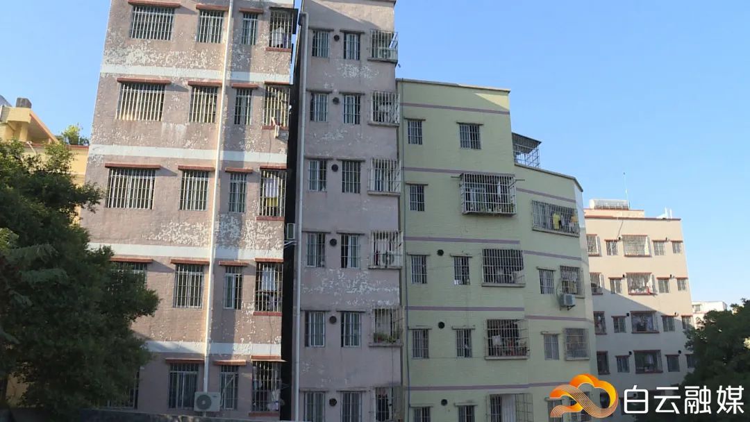 谢谢你，江夏村的“守门人”！