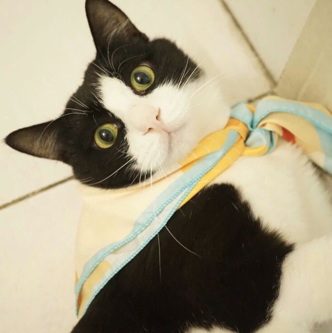 补货啦！柿饼界的小花旦，果冻Q心