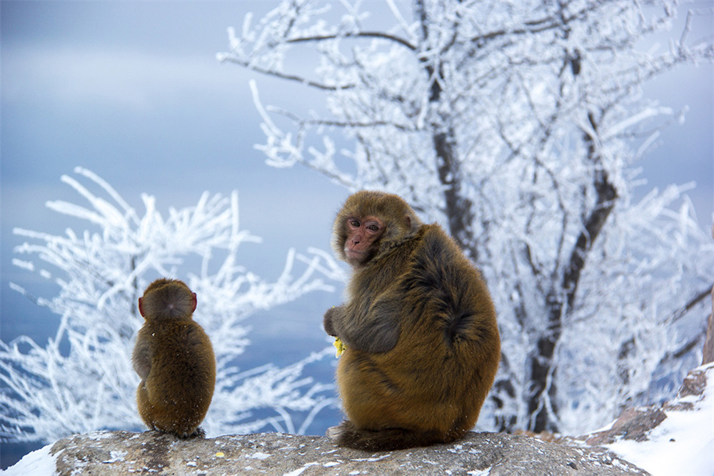 连云港花果山看大海,连云港花果山一日游第一视角